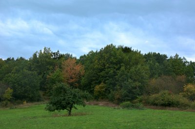 L'automne_5073729751_l.jpg